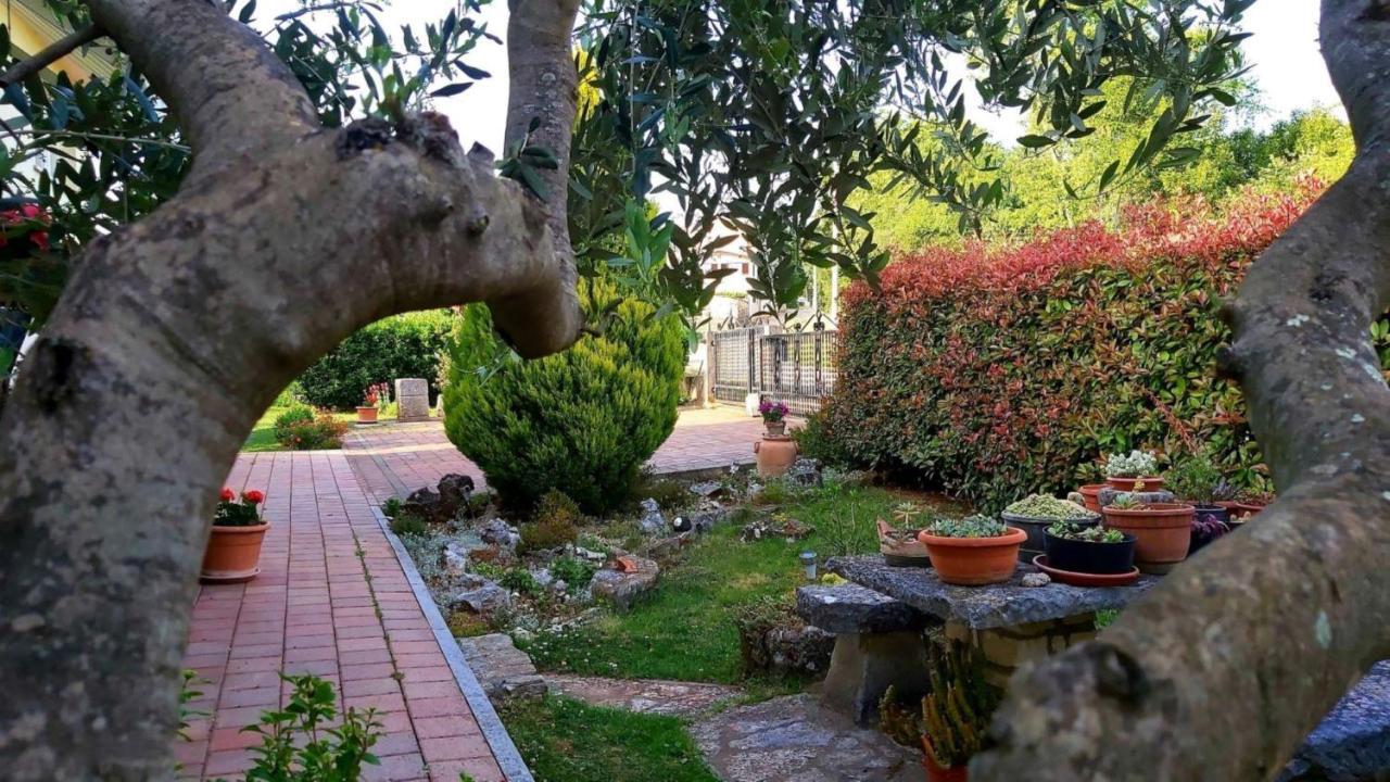 Apartment Green Oasis 1 Umag Ngoại thất bức ảnh